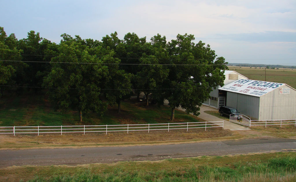 quality pecans